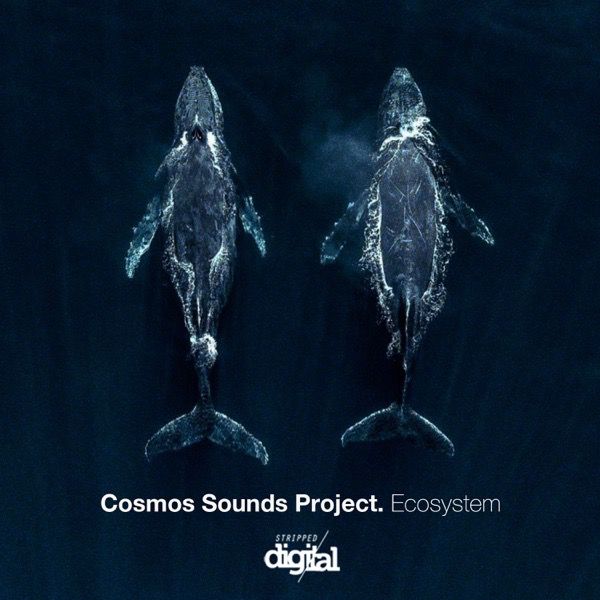 Cosmos Sounds Project - Ecosystem [315SD]
